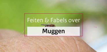 Feiten en fabels over muggen