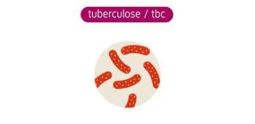 video still Tuberculose