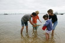 Gezin op het strand op zoek naar garnalen