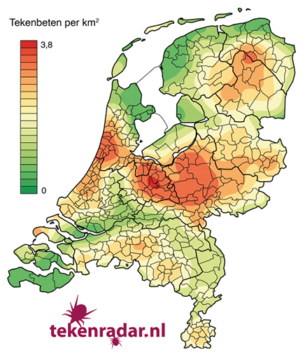 Dichtheid van tekenbeetmeldingen in Nederland, periode 2012 en 2013