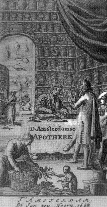 Afbeelding in eerste Amsterdamse Farmacopee 1636