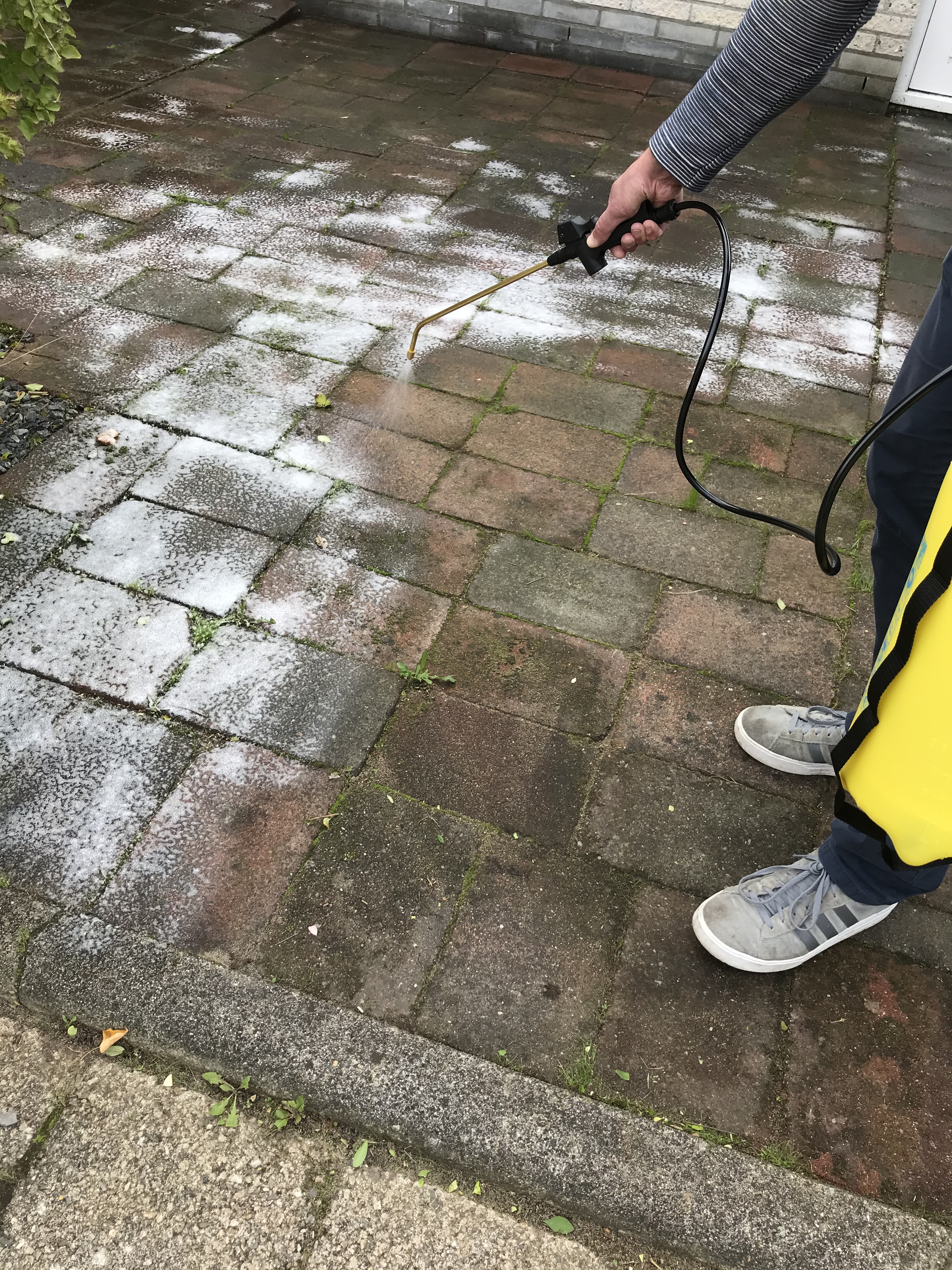 azijn en water tegen groene aanslag