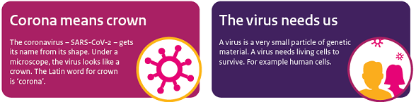 Visual COVID-19: name coronavirus and why a virus needs humans