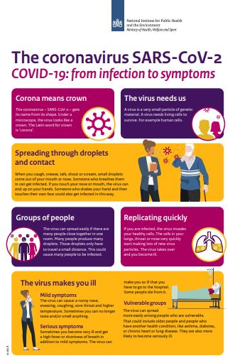 Visual COVID-19 part 1: from infection to symptoms