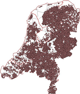 Rundveebedrijven in Nederland