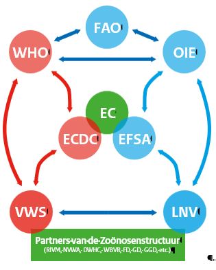 Overzicht mondiale, Europese en nationale samenwerkingsverbanden bij de beheersing van zoönosen