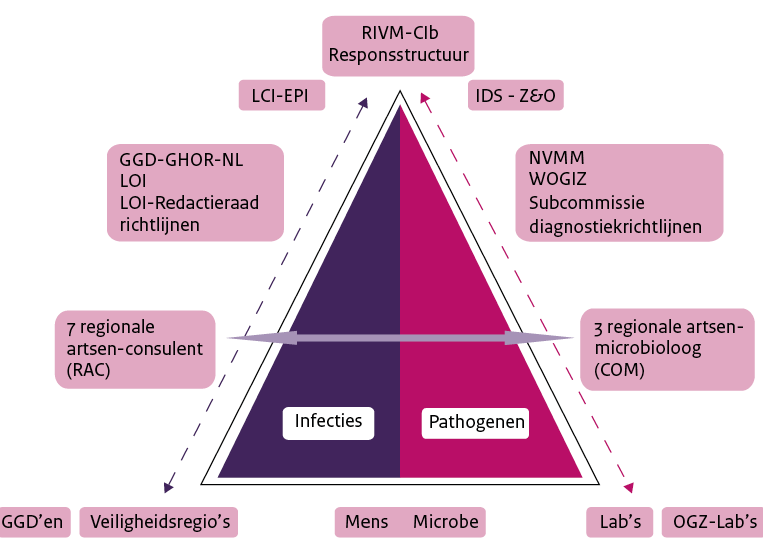 Schema 4. De twee pijlers van humane infectieziektebestrijding.