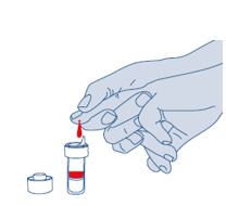 Collect blood in collection tube