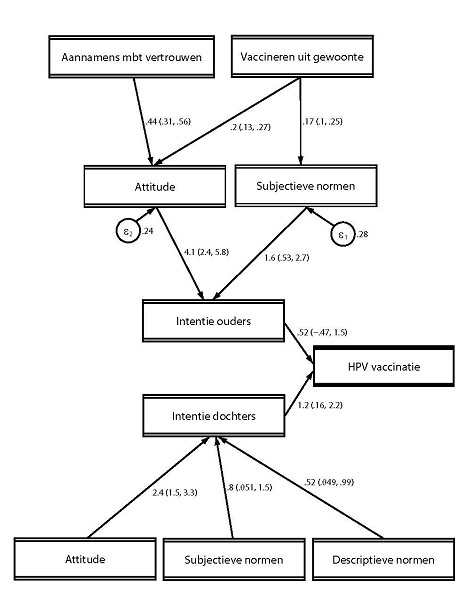 Figuur 2B. Generalized structural equation model met de determinanten van HPV-vaccinatie-intentie voor niet in Nederland geboren ouders en hun dochters.