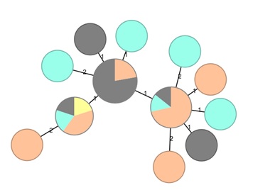  'Minimum spanning tree' van oorspronkelijke cluster behorend bij landelijke uitbraak met voedselisolaten (grijs, n=11) en patiëntisolaten uit 2017 (geel, n=1), 2018 (groen, n=6) en 2019 (oranje, n=12). Isolaten in dezelfde cirkel zijn identiek. De getallen bij de lijnen geven het aantal genen verschil tussen isolaten en/of groepen van isolaten