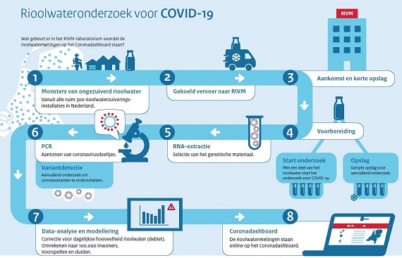 Infographic Rioolwateronderzoek voor COVID-19; Van monster tot resultaten op het Coronadashboard