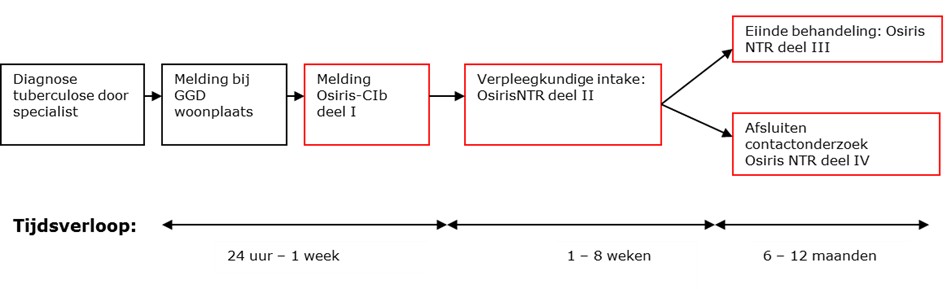 Proces van tbc-ziektemelding met bijbehorend tijdsverloop