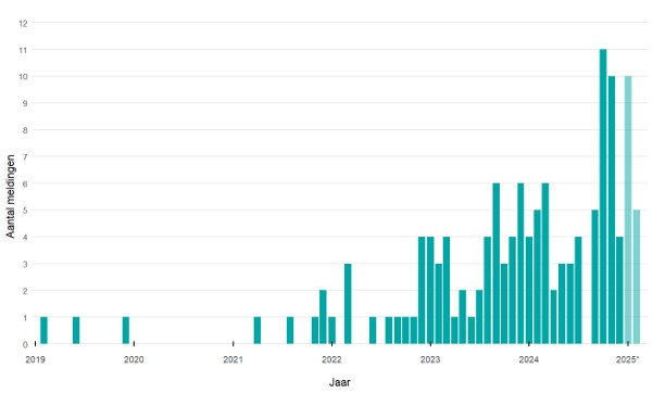Aantal Artikel 26 scabiësmeldingen per maand van 1 januari 2019 t/m 13 maart 2025, regio Utrecht. In 2020 waren er geen meldingen van scabiës. *jaar niet compleet
