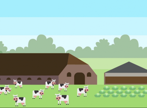 boerderij met koeien en gewas