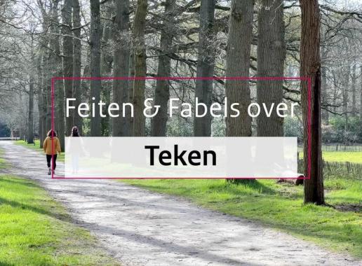 Klik om het filmpje Feiten en fabels over teken te bekijken