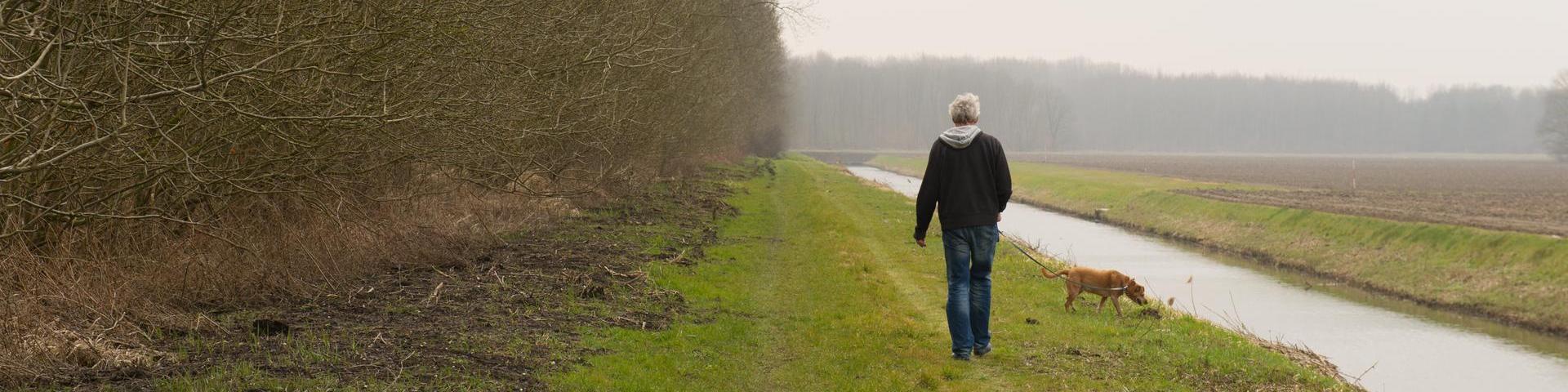 Een man en een hond lopen door een veld, langs een beek