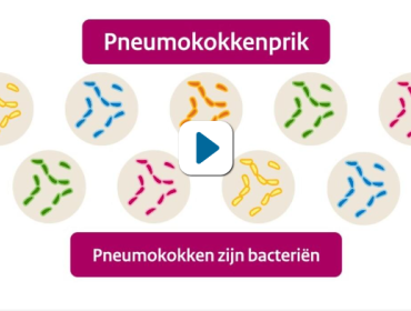 Schermopname uit de animatie over pneumokokken