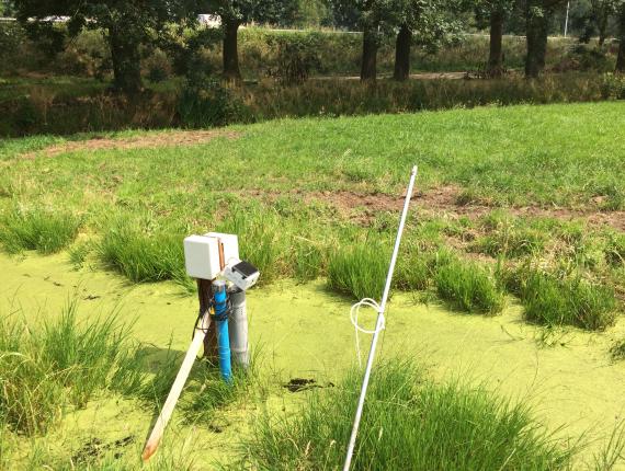 Foto van een sensor in de sloot in Veenregio voor Watersnip proeftuinen.