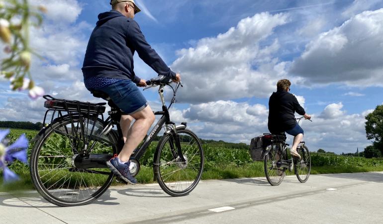 influenza vijver kijken Bijna een derde van fietsers in Nederland gebruikt een elektrische fiets |  RIVM