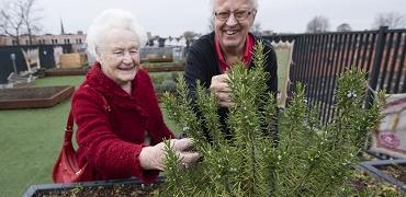Twee ouderen voelen een kerstboom