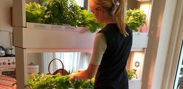 Een jonge vrouw verzorgt de planten van de binnenmoestuin