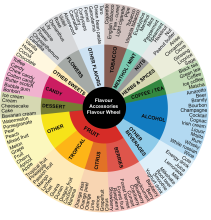 Flavour accessories flavour wheel showing flavours arranged in groups 
