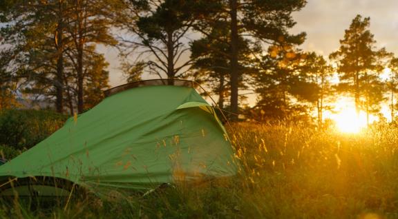 tentje in hoog gras bij zonsopgang