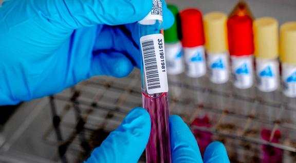 Laboratoria op het RIVM 