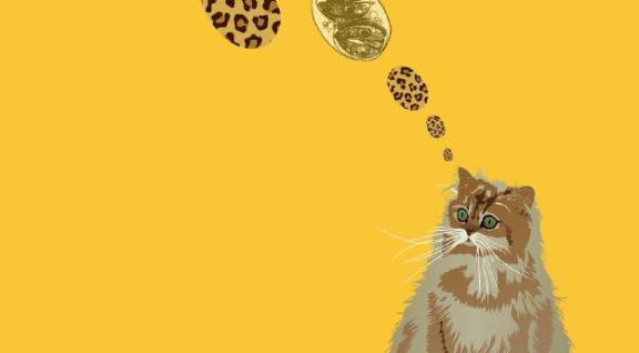 voorblad proefschrift Jenny Deng