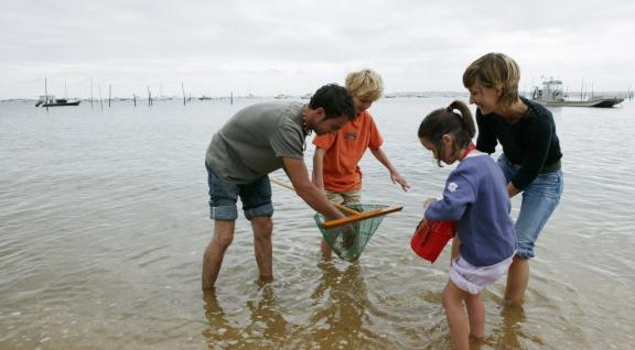 Gezin op het strand op zoek naar garnalen
