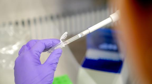 Coronavirus test