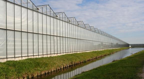 glastuinbouwkassen