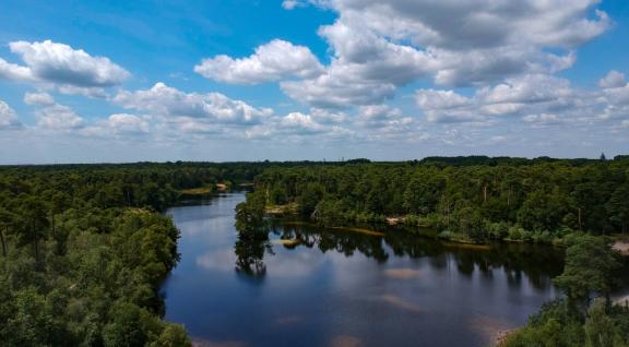 Landschap met meer en bomen
