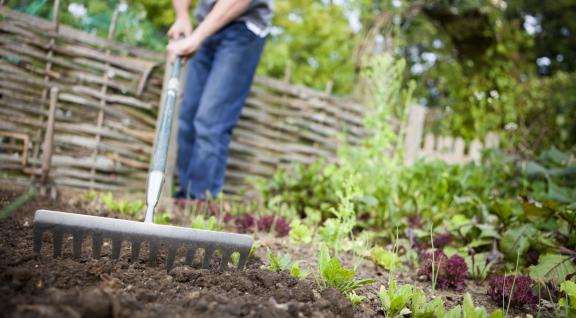 Man harkt zijn tuin aan