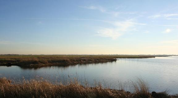 Waterlandschap