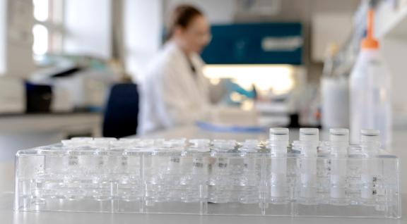 RIVM benoemd tot Europees referentielab (EURL) voor vector-overdraagbare virale infecties