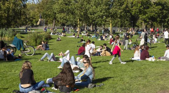 Mensen in het park op een zonnige dag.