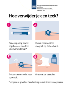Hoe verwijder je een teek?