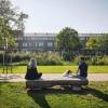 People sitting on a bench in a park